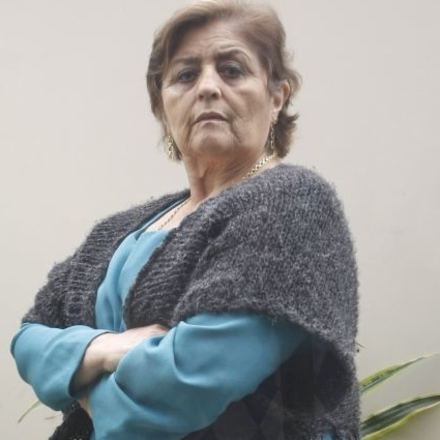 Voz21