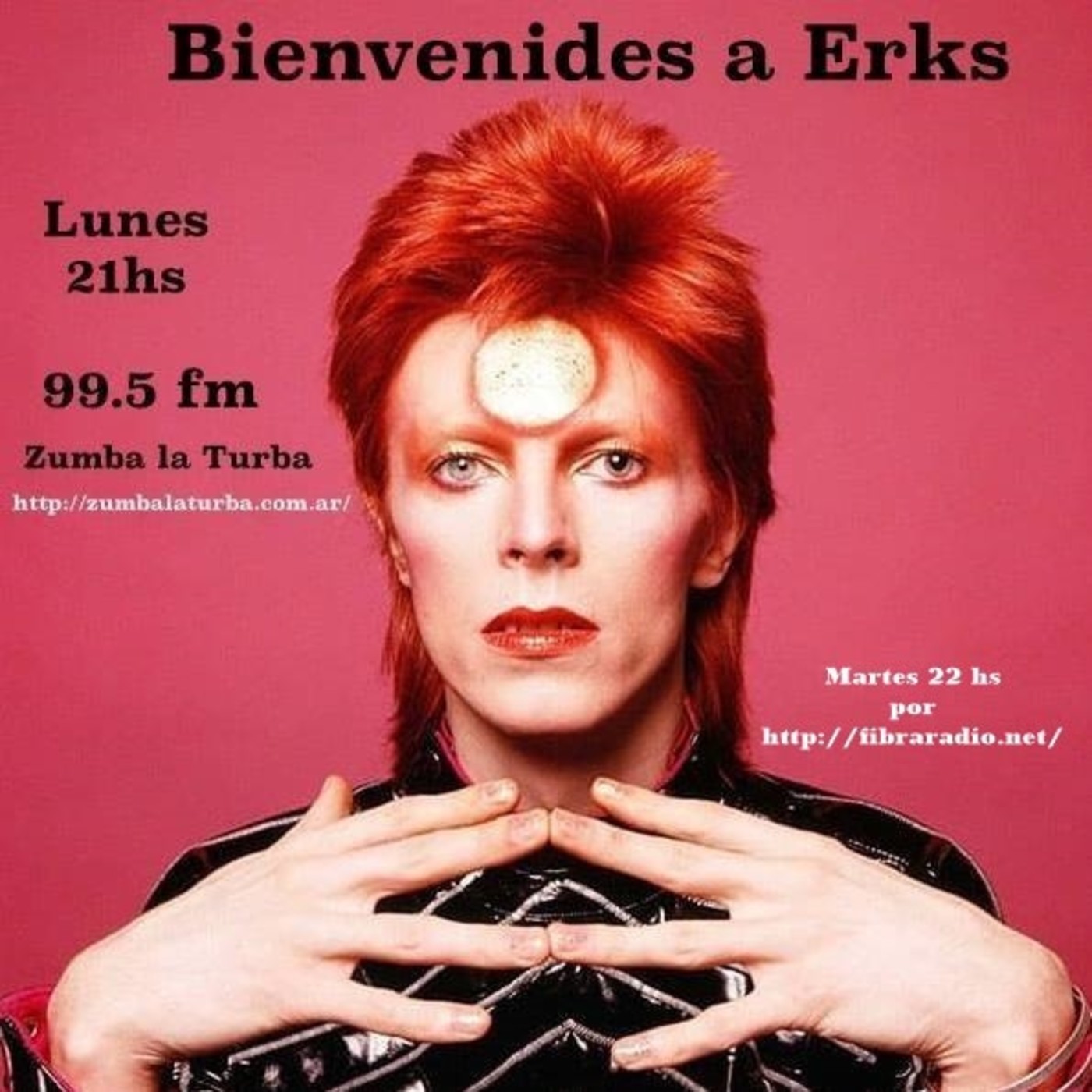 Beinvenides A Erks