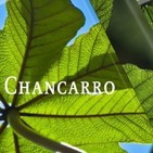 El Ángel de tu Salud - CHANCARRO *