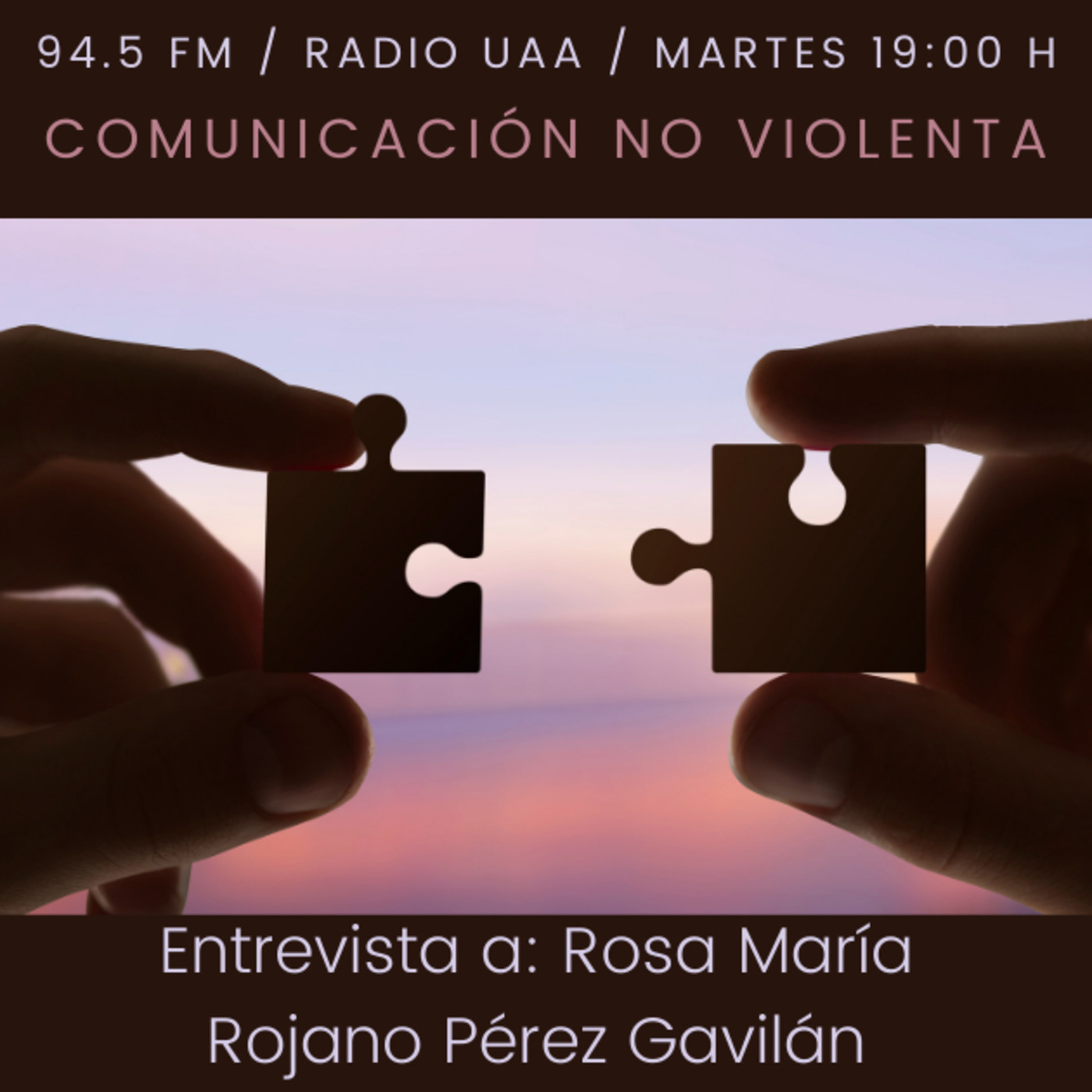 Ep. 29 Comunicación no violenta