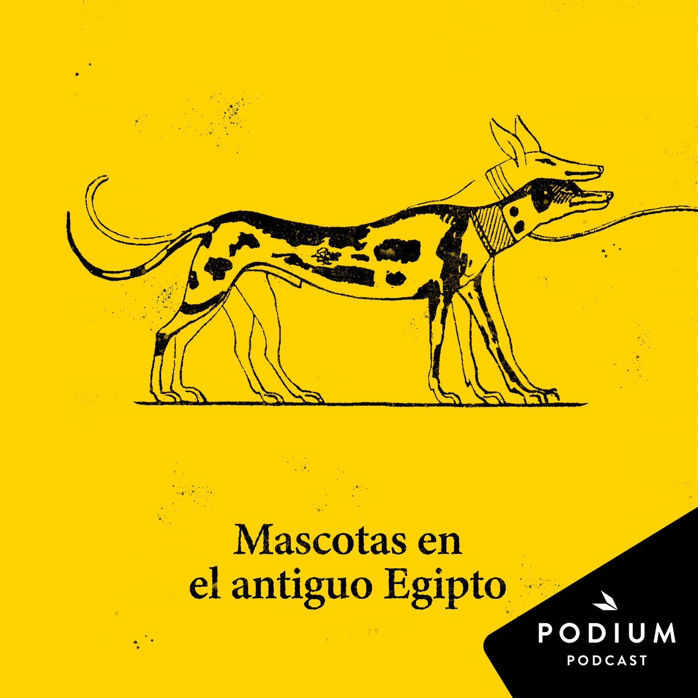 Dentro de la pirámide
