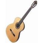 La guitarra
