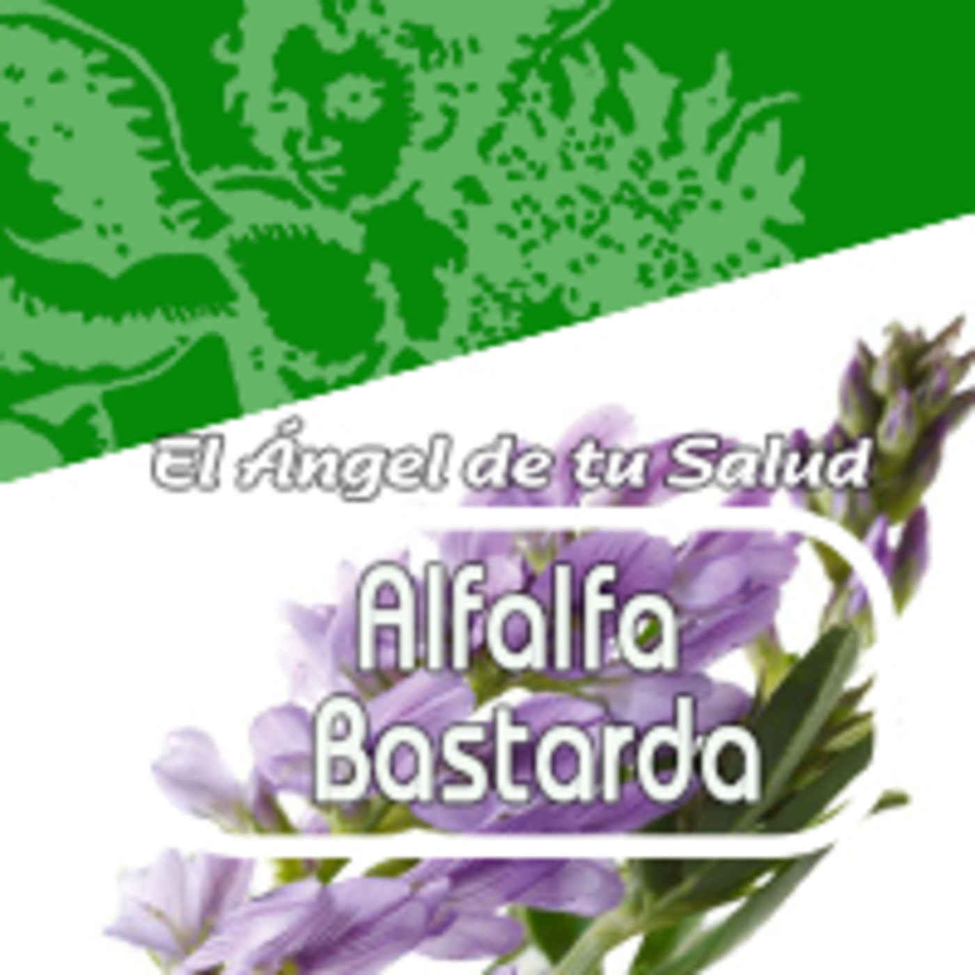 El Angel de tu Salud - ALFALFA BASTARDA* episode artwork