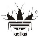 Especial Ladillas