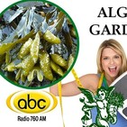 El Ángel de tu salud - ALGAS GARDNERI
