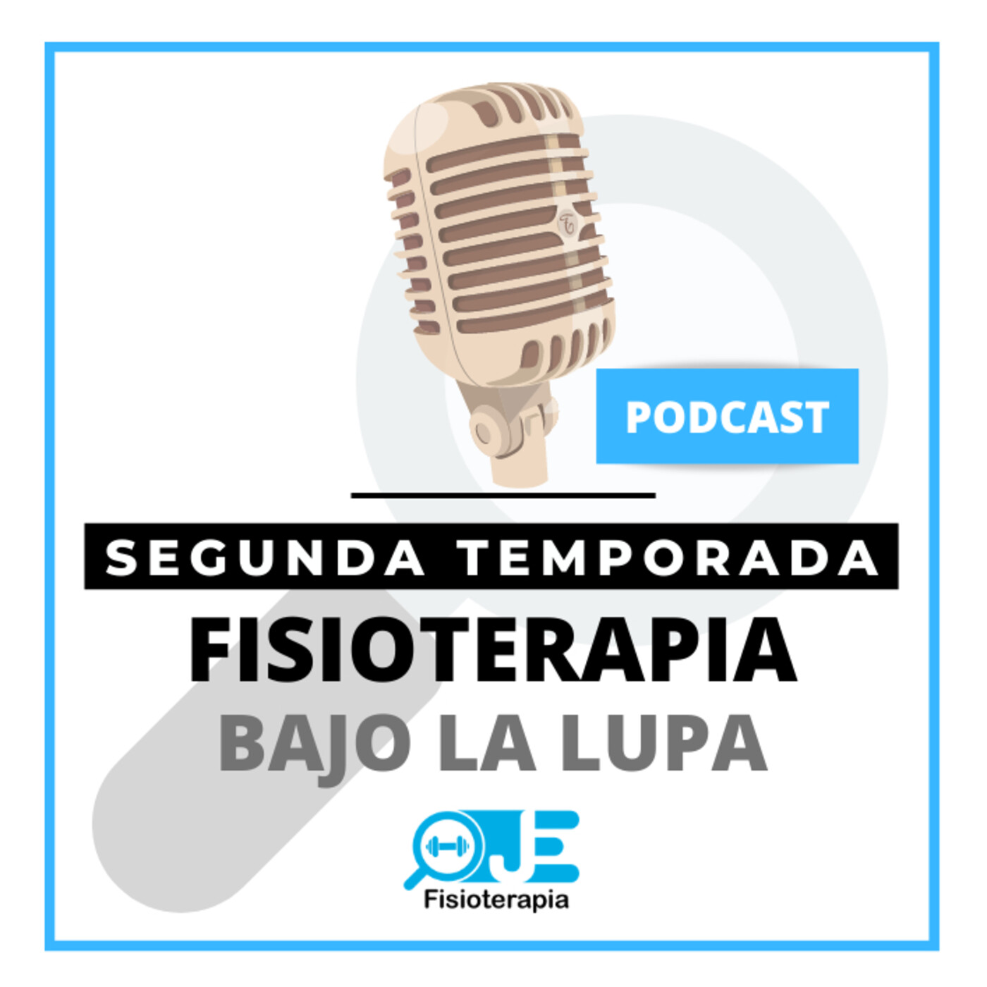 Fisioterapia bajo la lupa