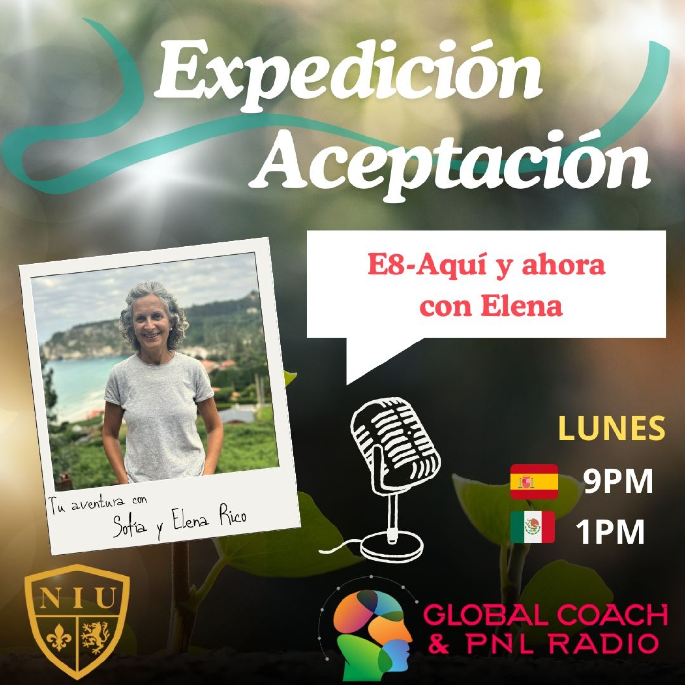 Radio Global Coach & Pnl