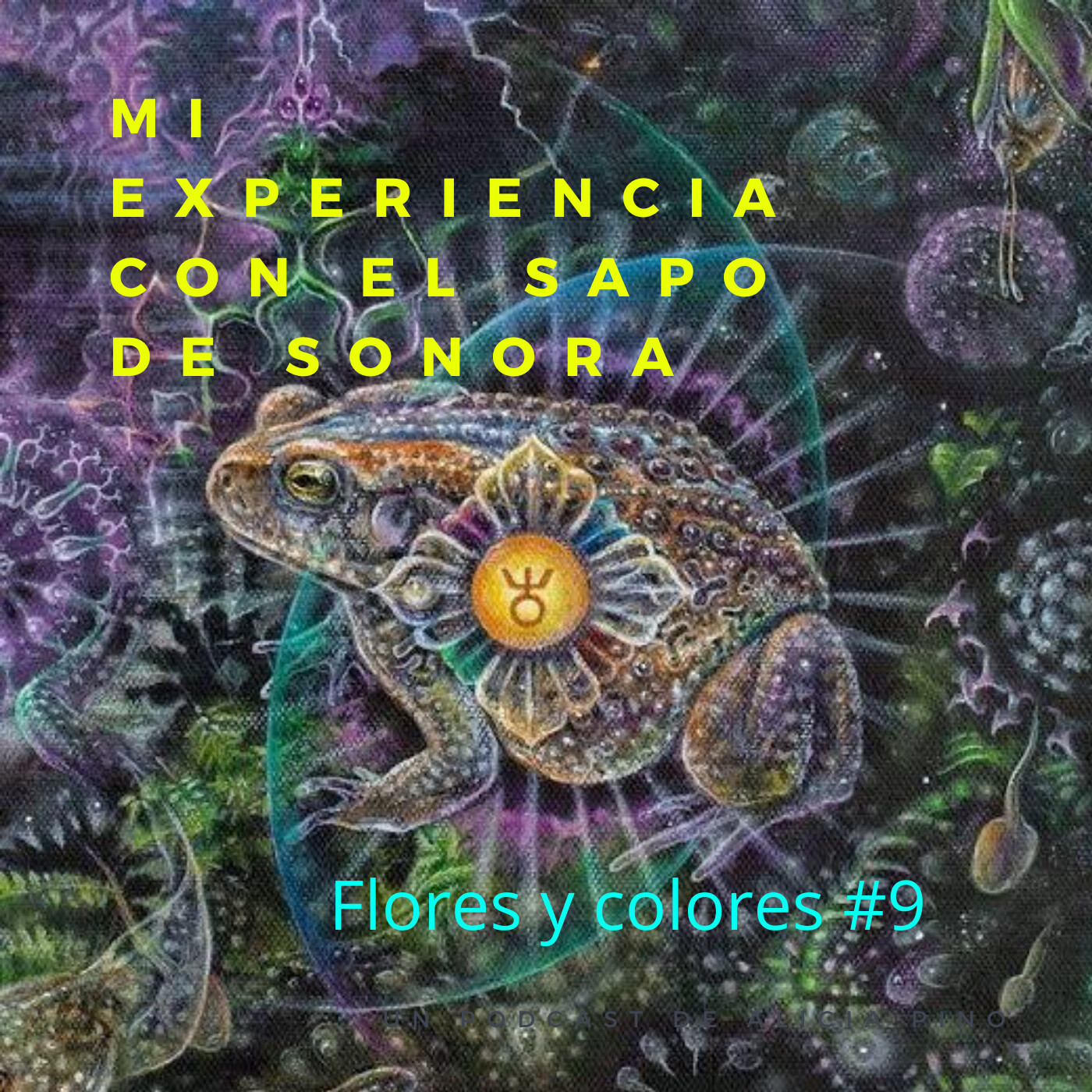 Flores y colores
