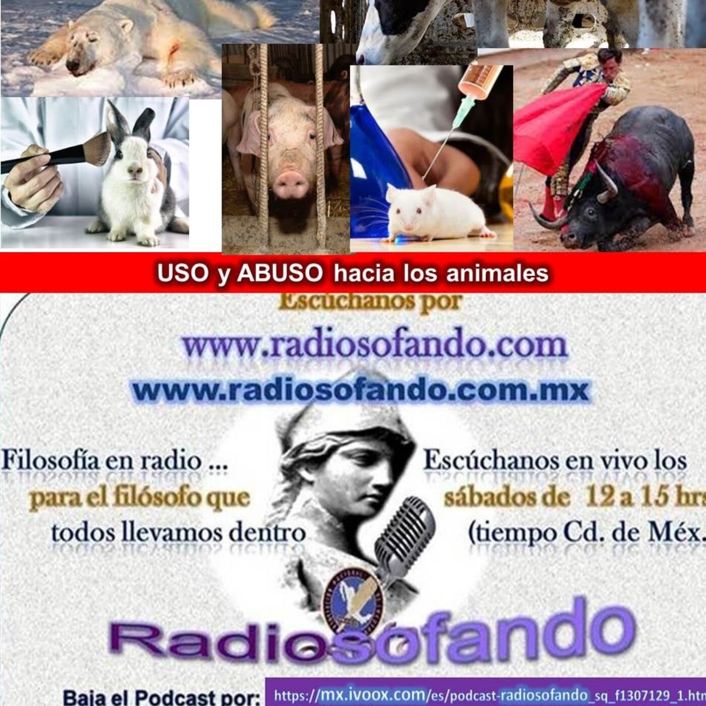 Radiosofando