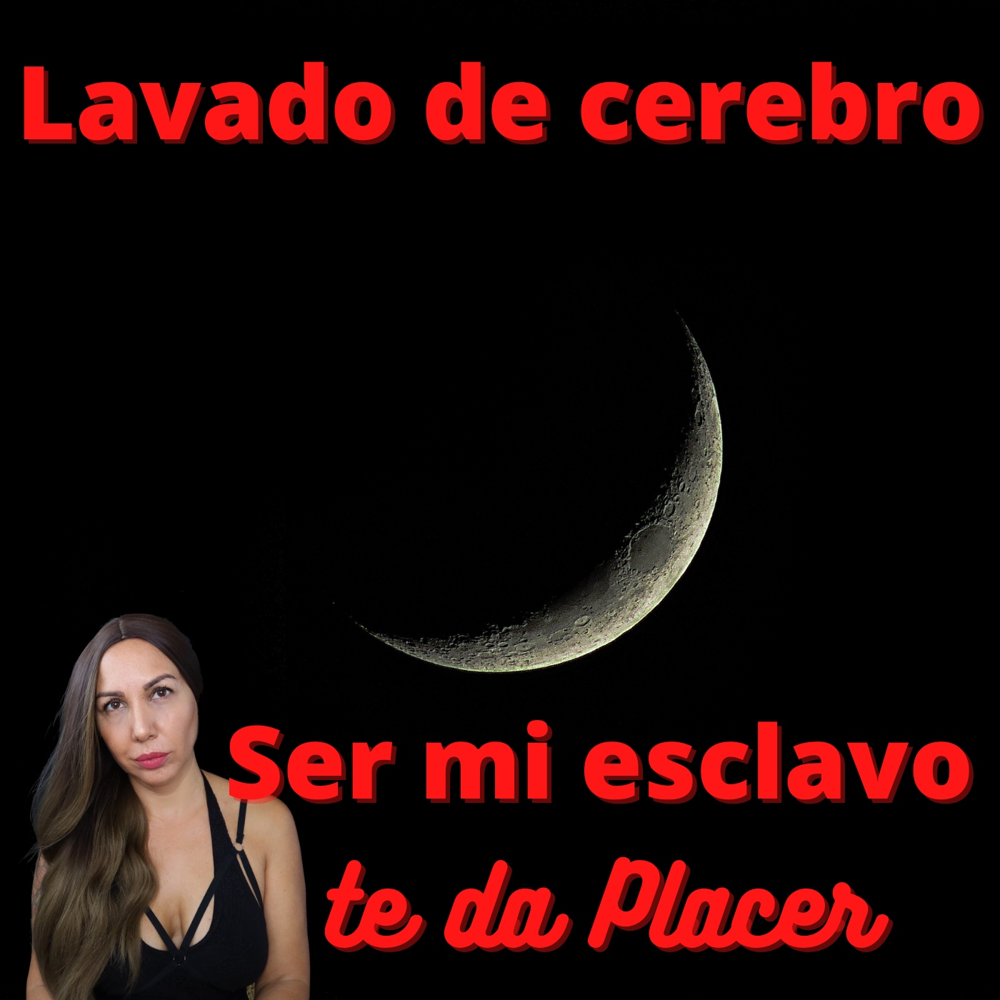 Perrito Obediente