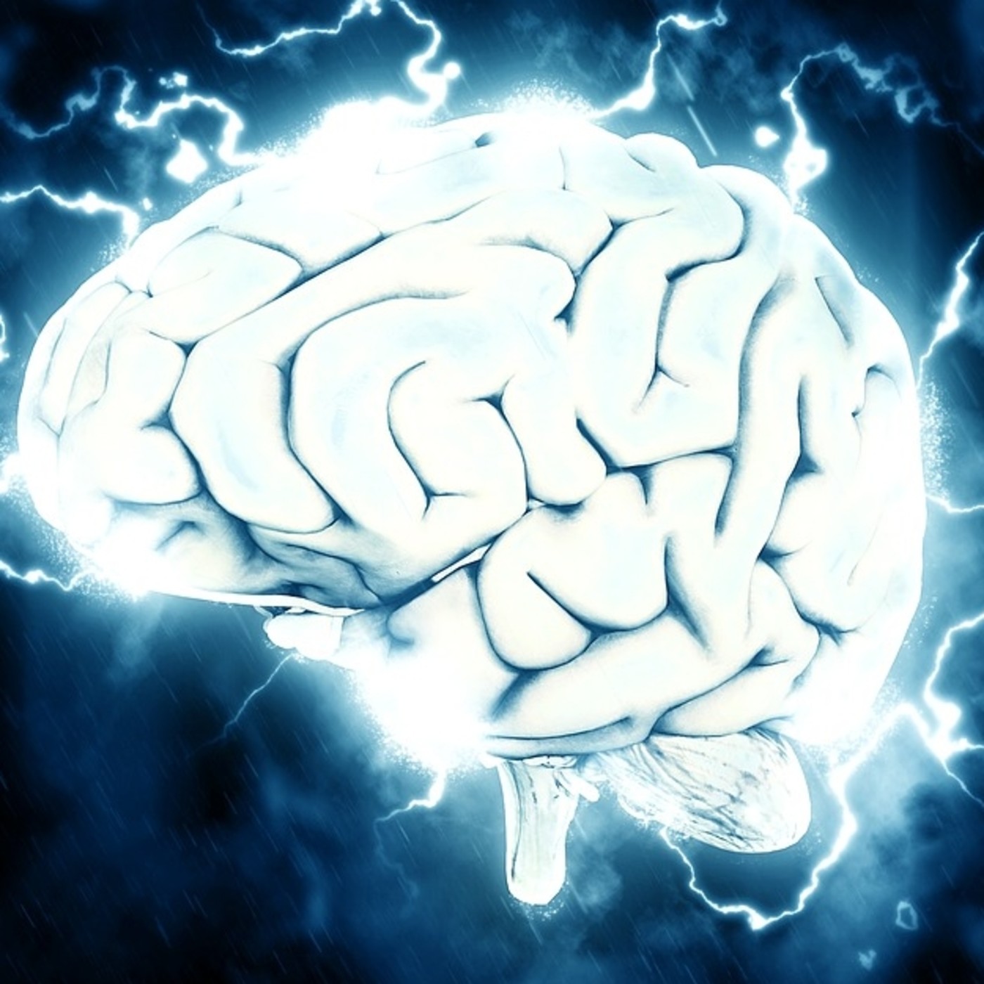 La semilla del éxito