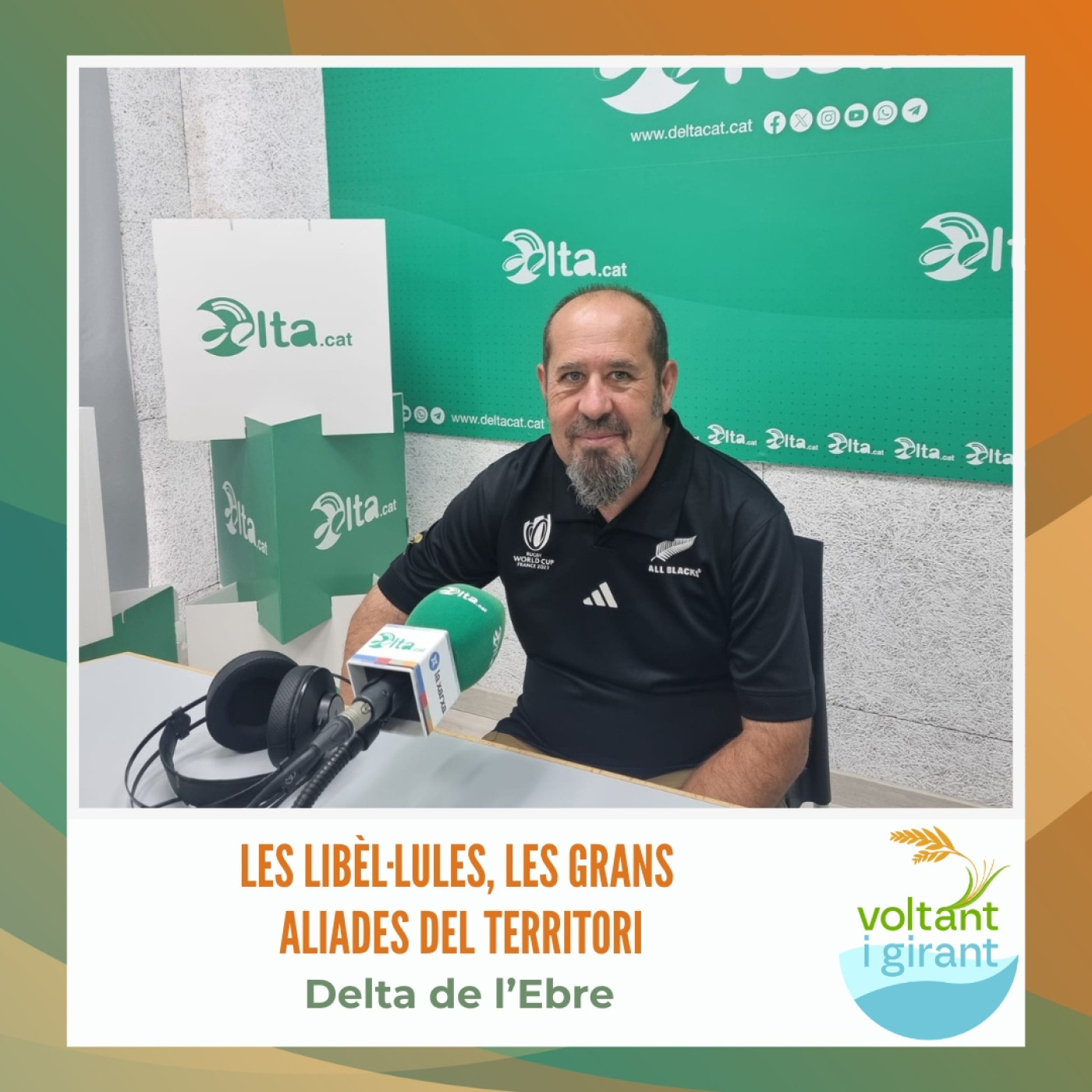 Les libèl·lules, les grans aliades del territori episode artwork