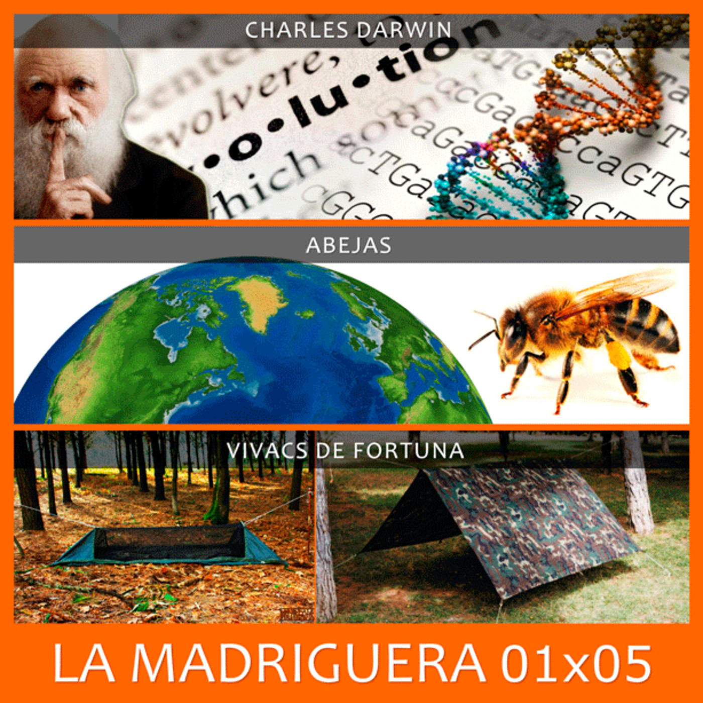 LA MADRIGUERA