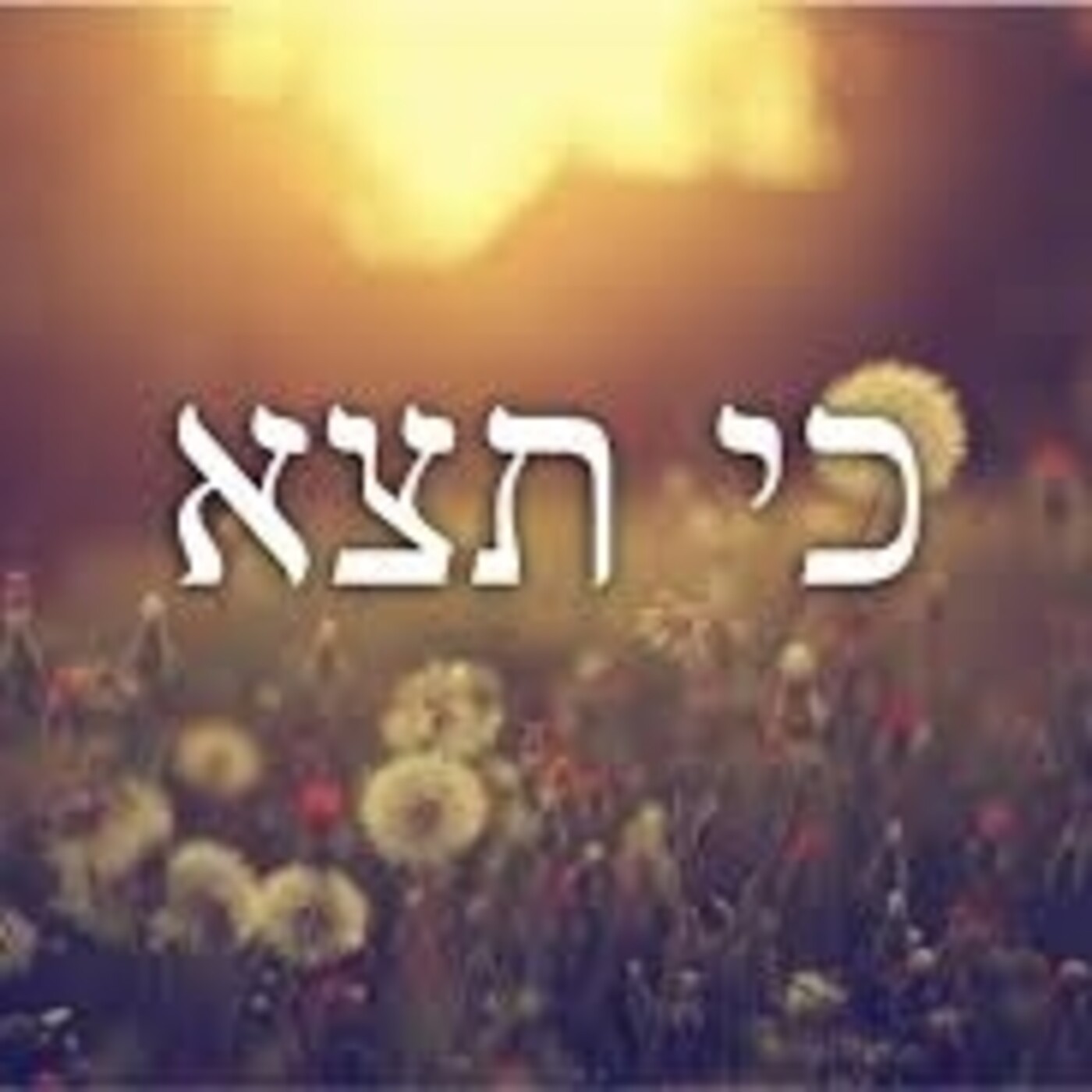 Kfir Ben Yehudáh