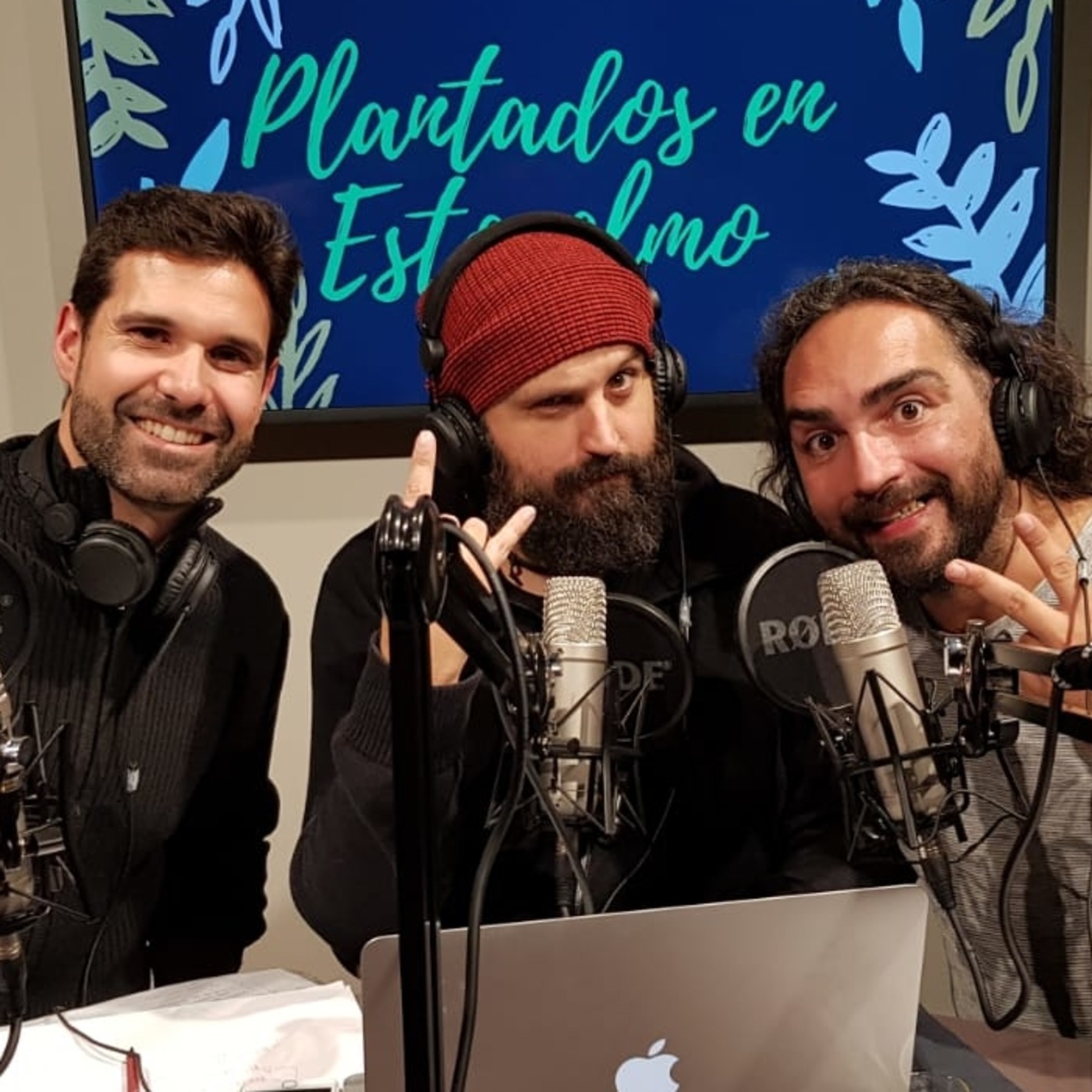 Plantados en Estocolmo 2x14: Cosas de casas en Suecia episode artwork
