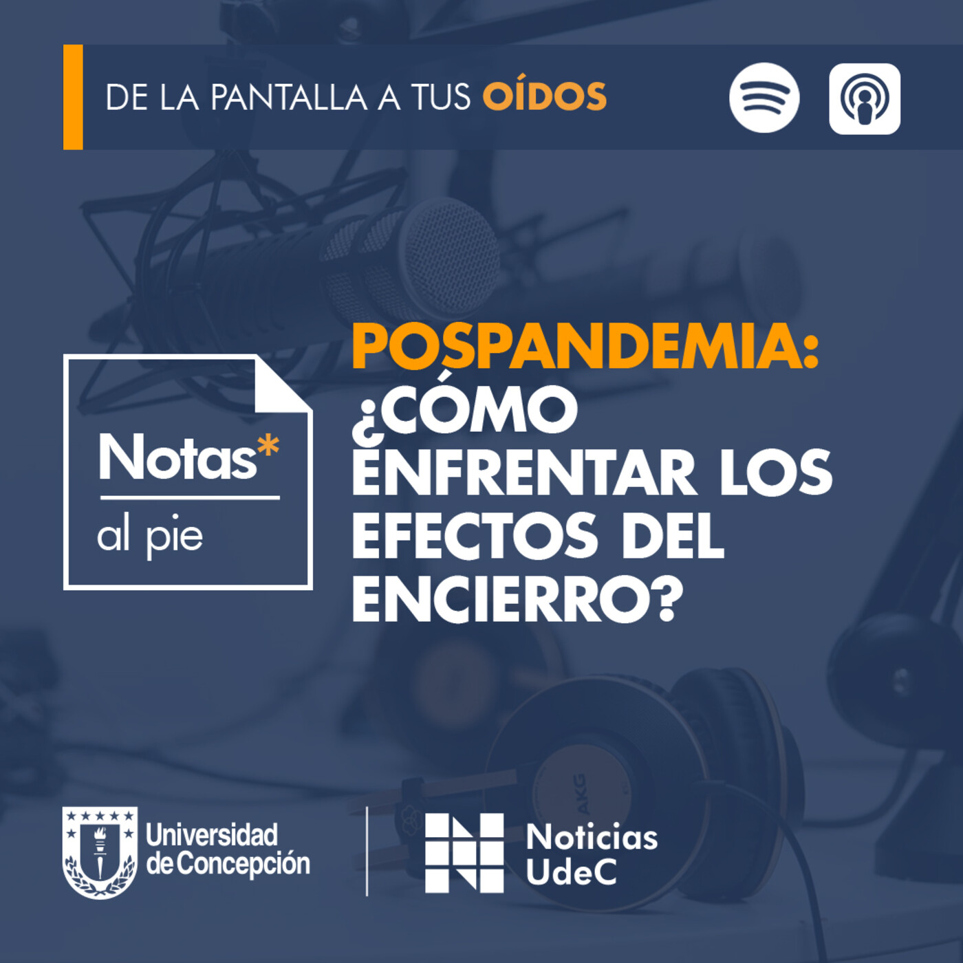 Notas al pie