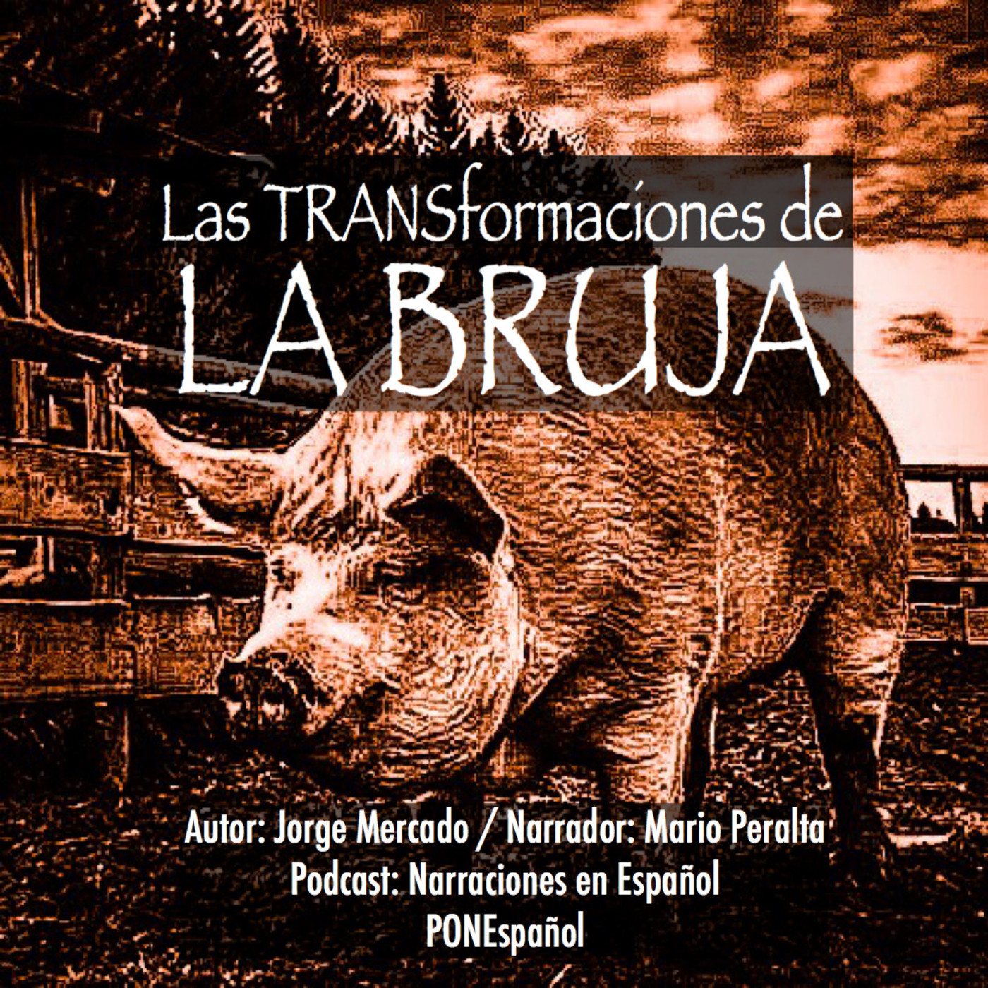 PONEspañol Narraciones