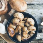 Guía de las setas: beneficios, tipos e ideas de preparación
