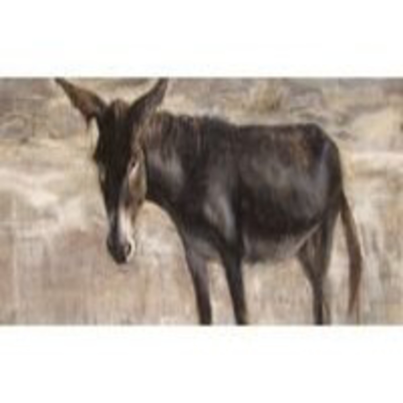 El Canto del Pájaro