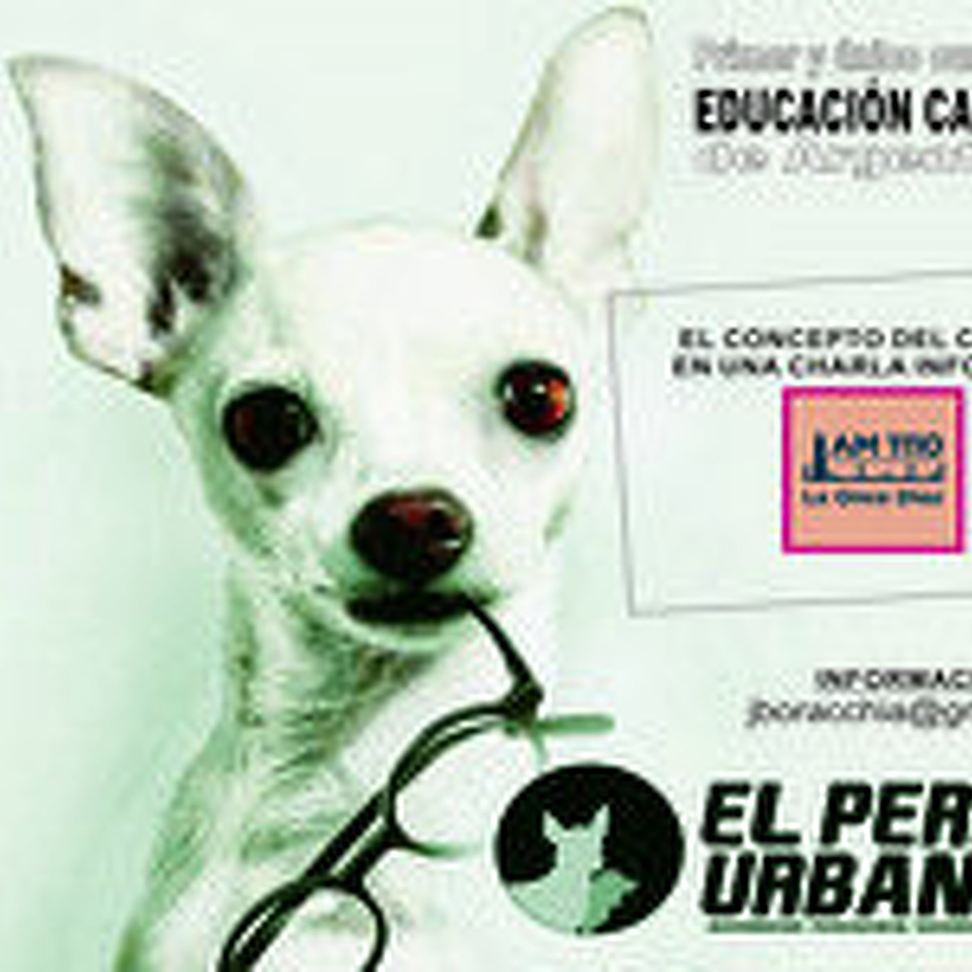 El perro urbano en laoncediez