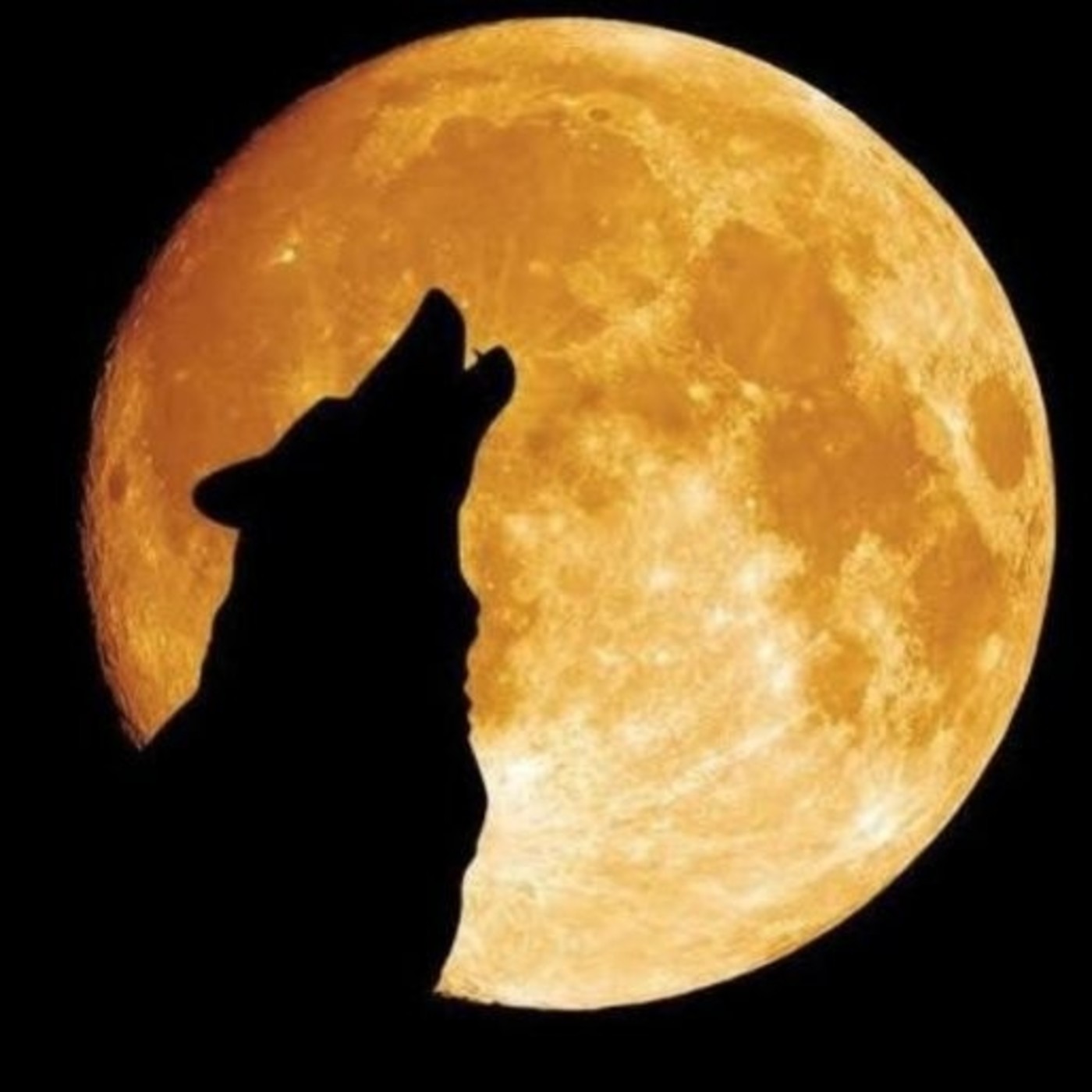 LUNA DE LOBOS
