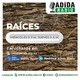 RAÍCES - Abril 01 Del 2020