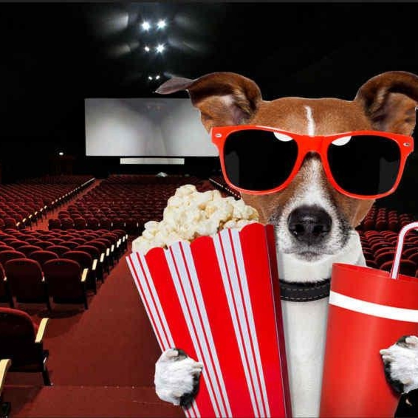 En un lugar al sur 2019