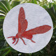 Insectos a la carta