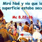 Padre John- Reflexión evangelio madrugada del 20 de Febrero de 2019