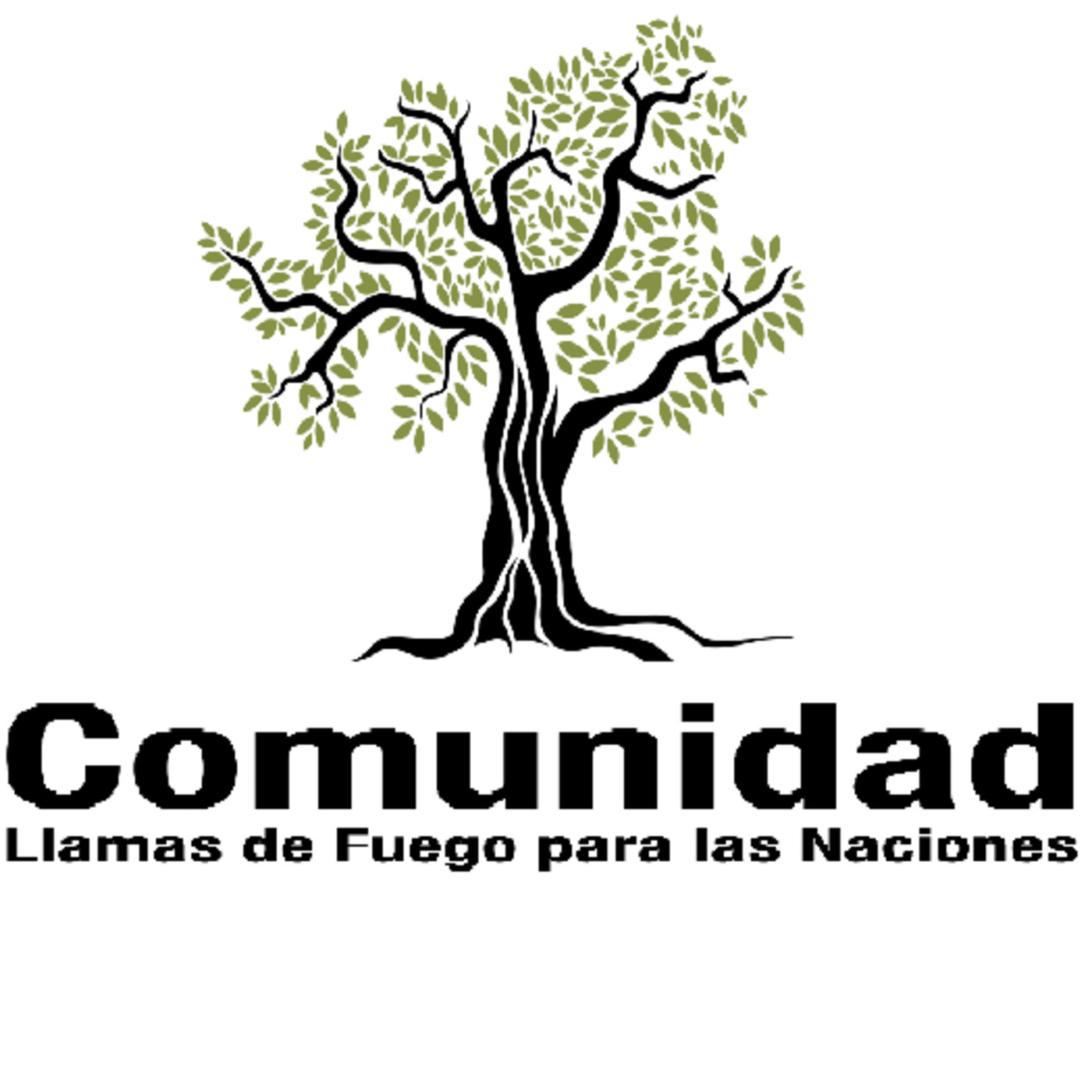Estudios de la Parashat