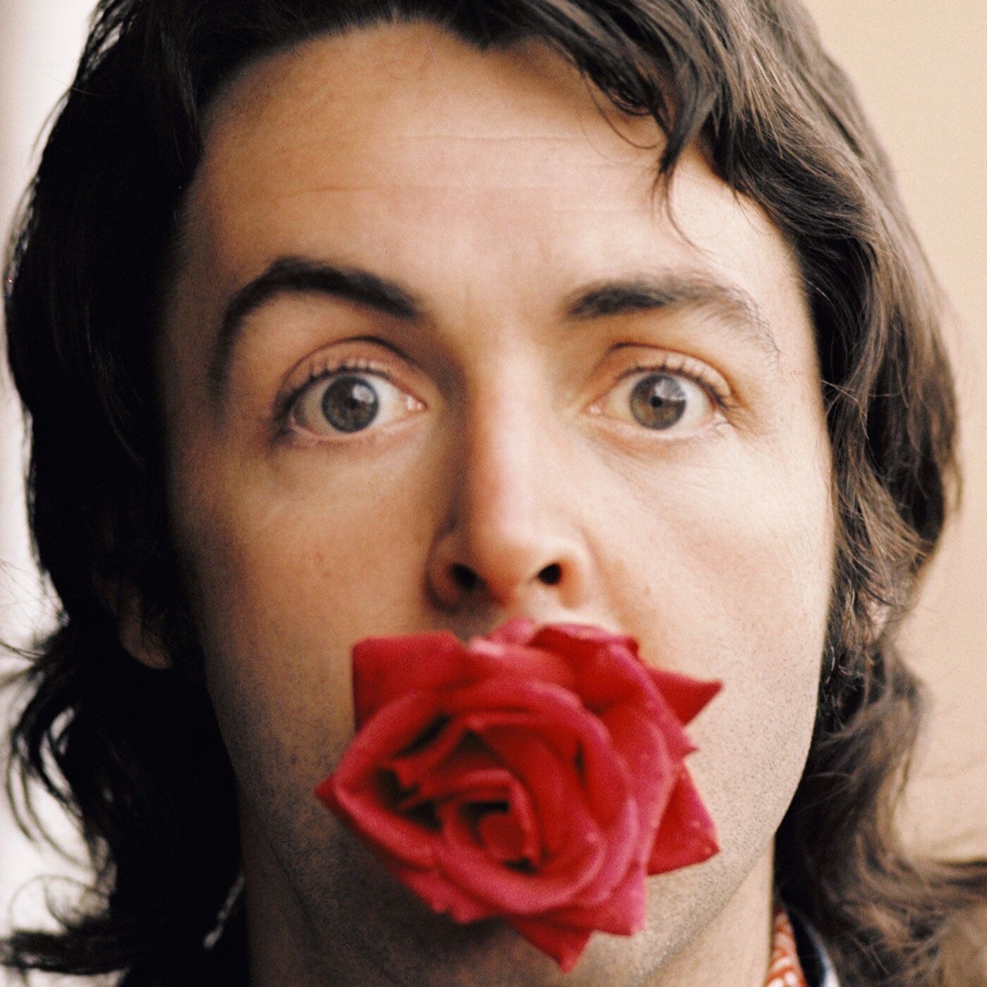 Proyecto Beatle