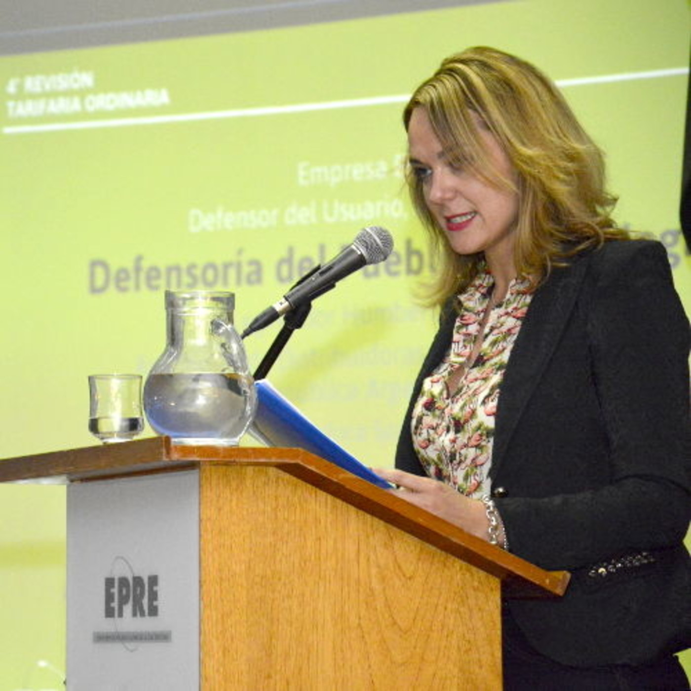 Audiencia Pública 4° RTO EdERSA