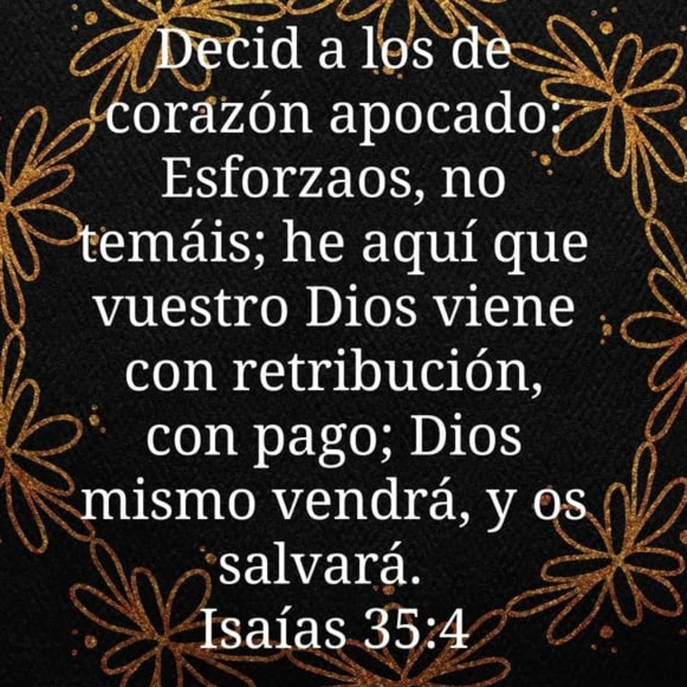 Sermones