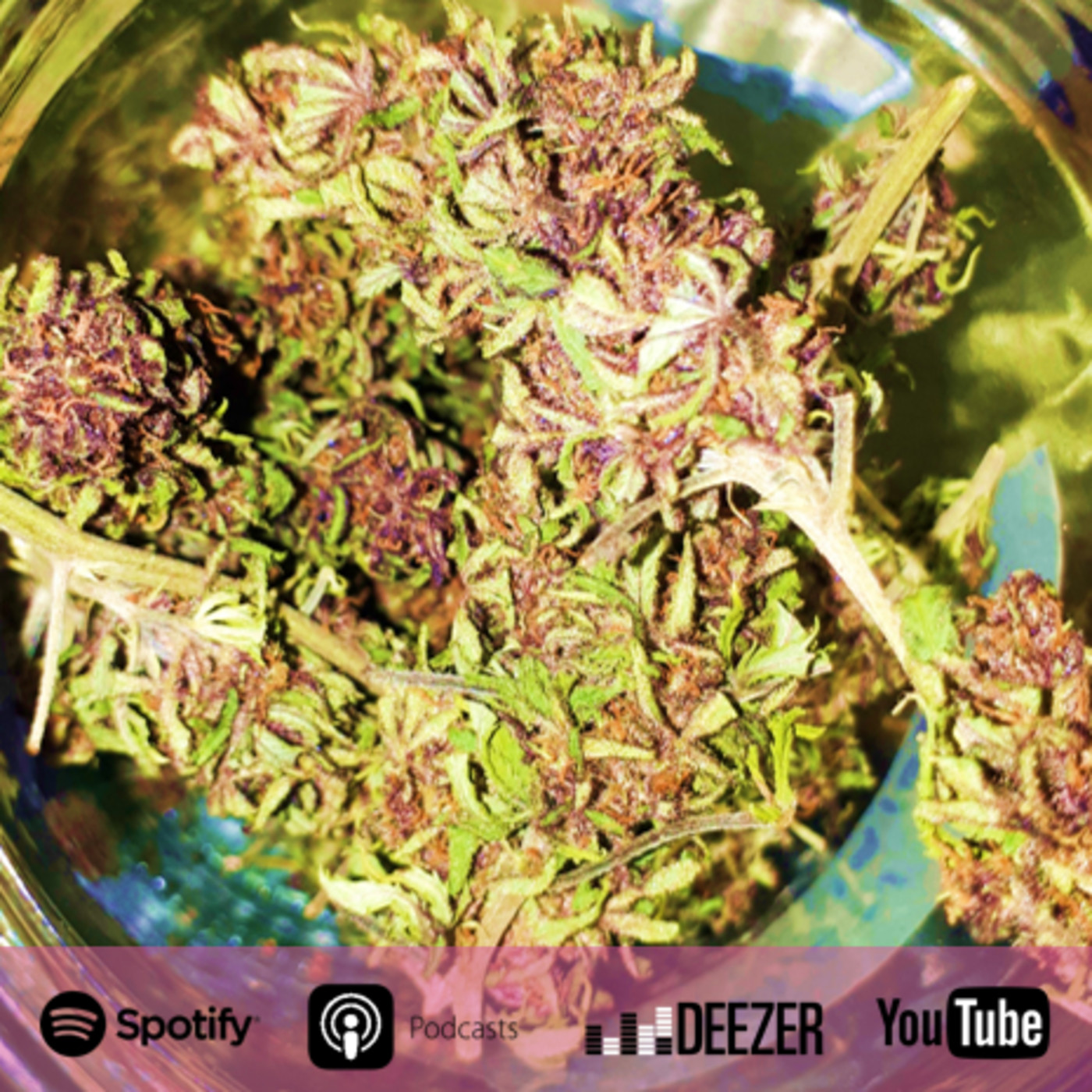 La Voz del Cannabis