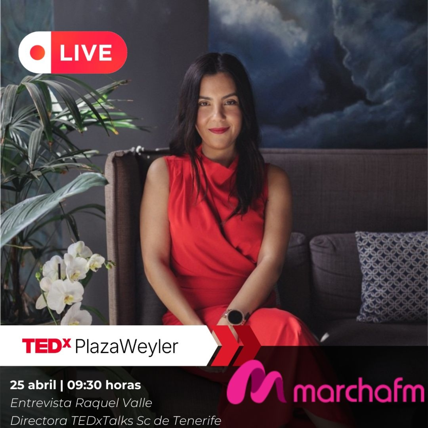 No me cuentes cuentos