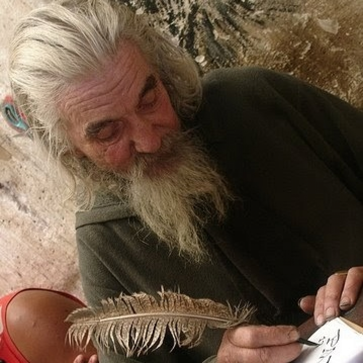 Alegría Literaria
