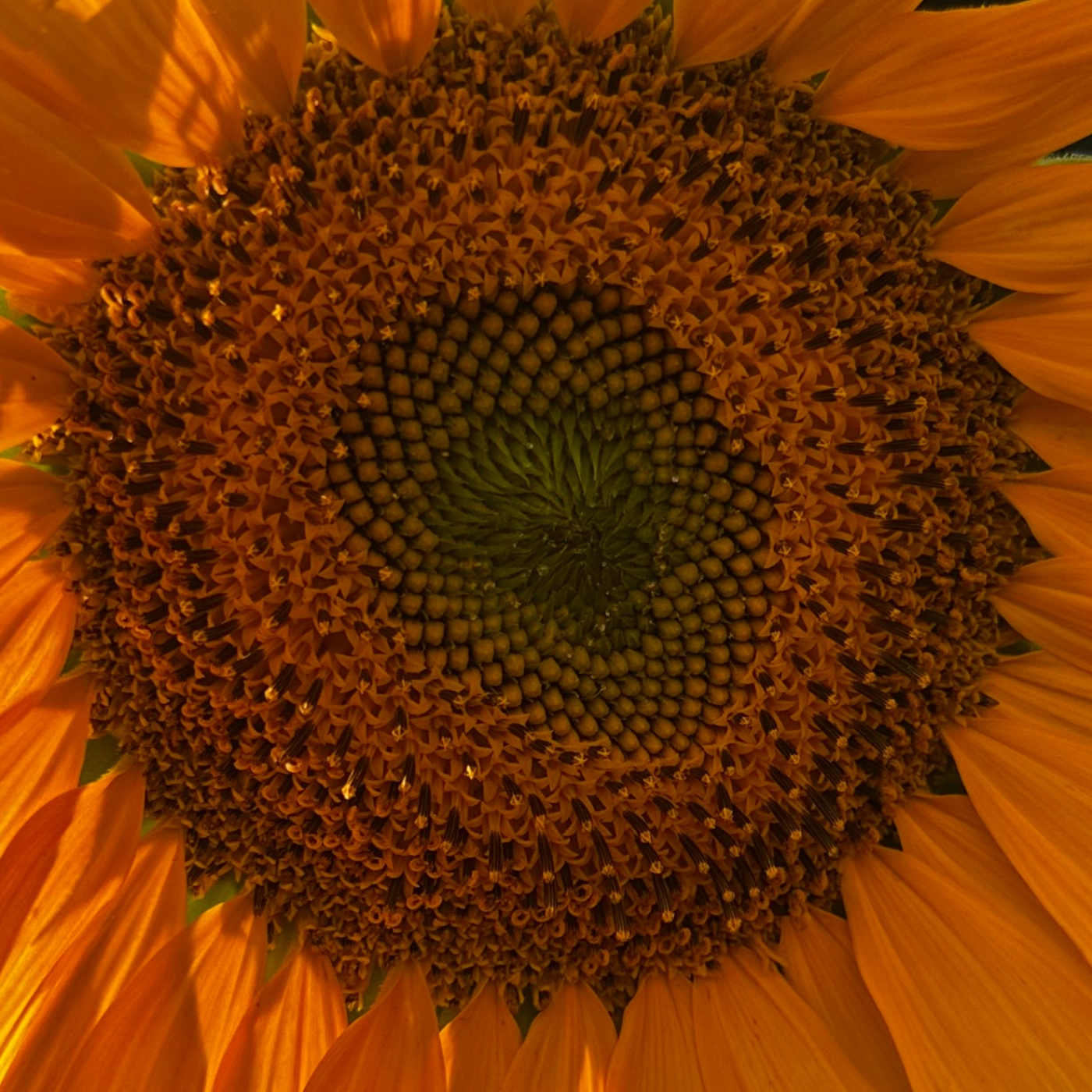 Cuadernos de Inlogika