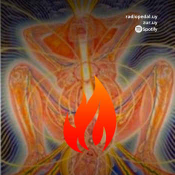 embed image
