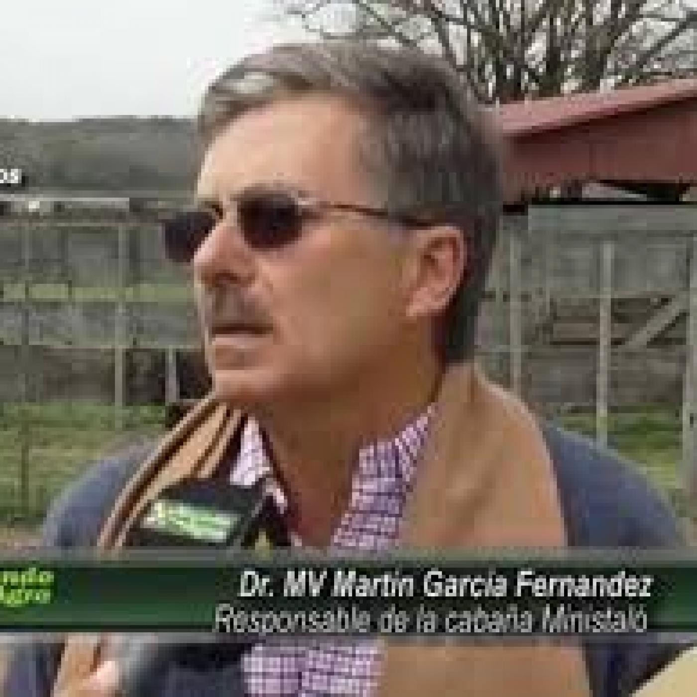 Más de dos