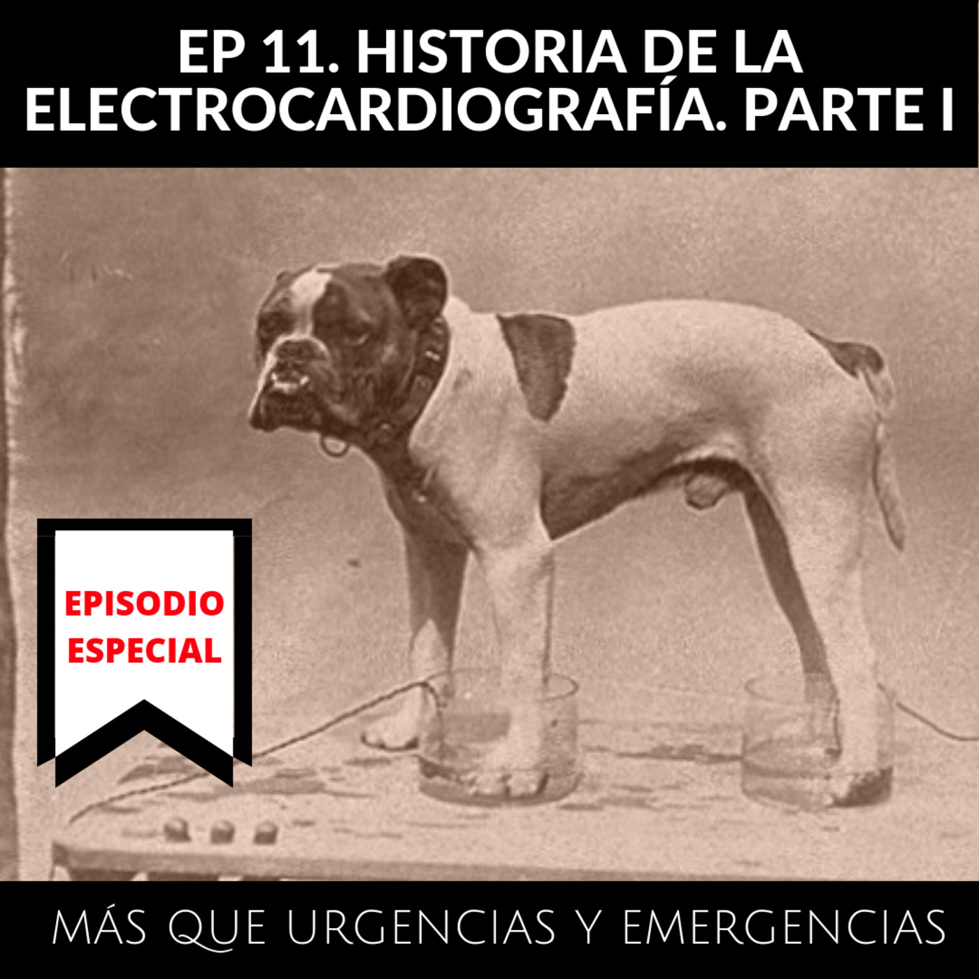 Más que Urgencias y Emergencias