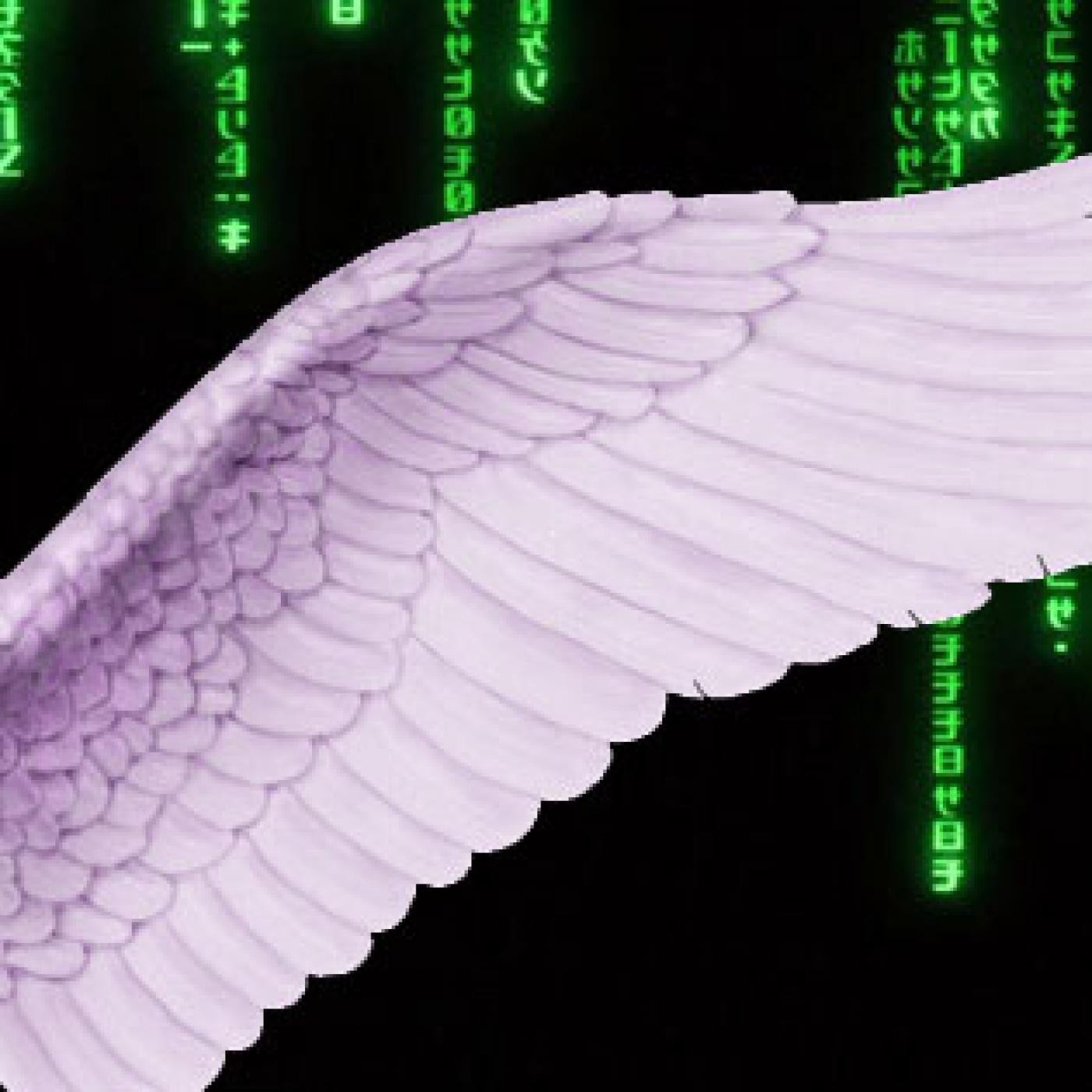 los ángeles recargados, la sal y la pimienta que pueden darle mas sabor a tu felicidad.