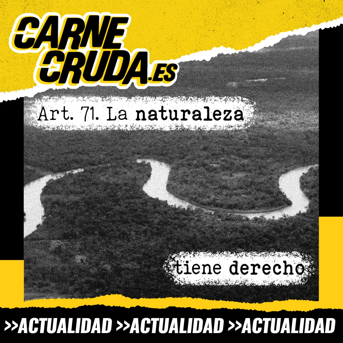 Carne Cruda - PROGRAMAS