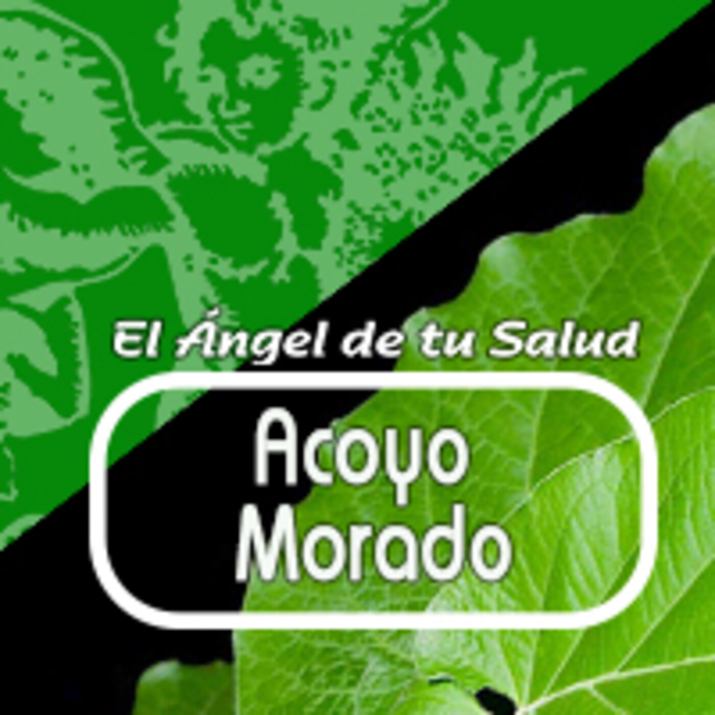 El Angel de tu Salud - ACOYO MORADO* episode artwork