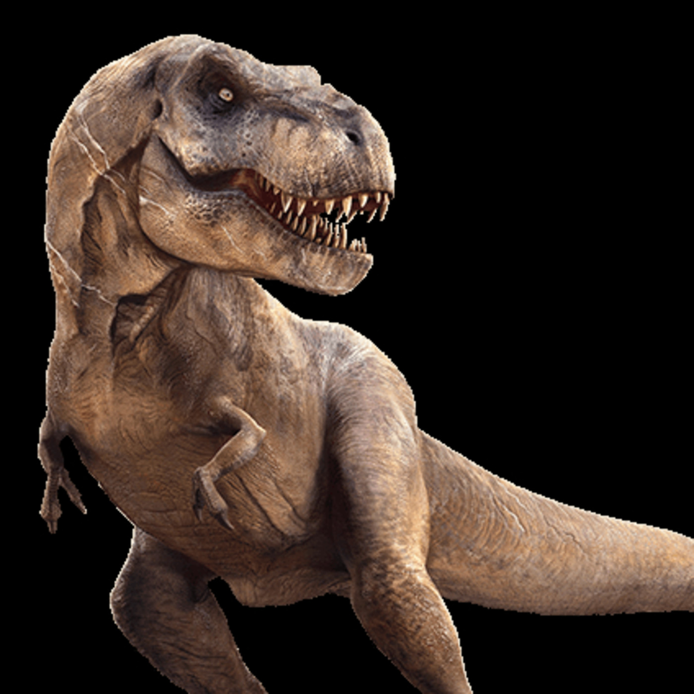 Gabitxu the Yellow Friend