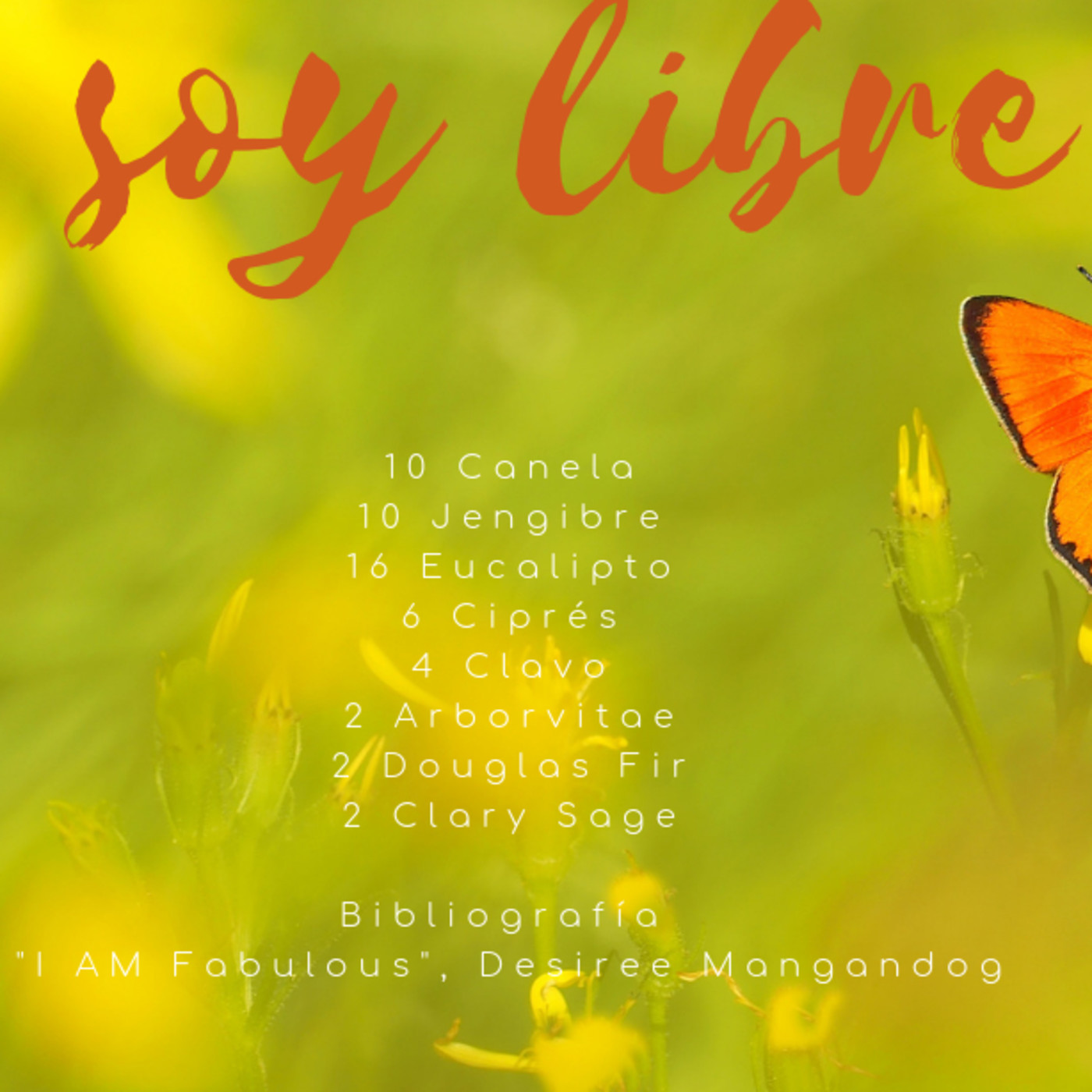 Oleofamily Detox Emocional con aceites esenciales