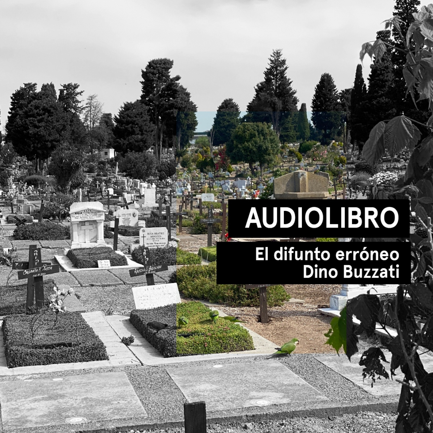 El difunto erróneo - Dino Buzzati | Audiolibros Por qué leer | Audiocuento