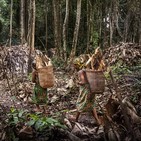 251p. Trabajo en el Paleolítico: la jornada laboral del cazador-recolector (entrenamiento paleo IV)
