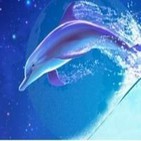 La Ballena y el Delfín