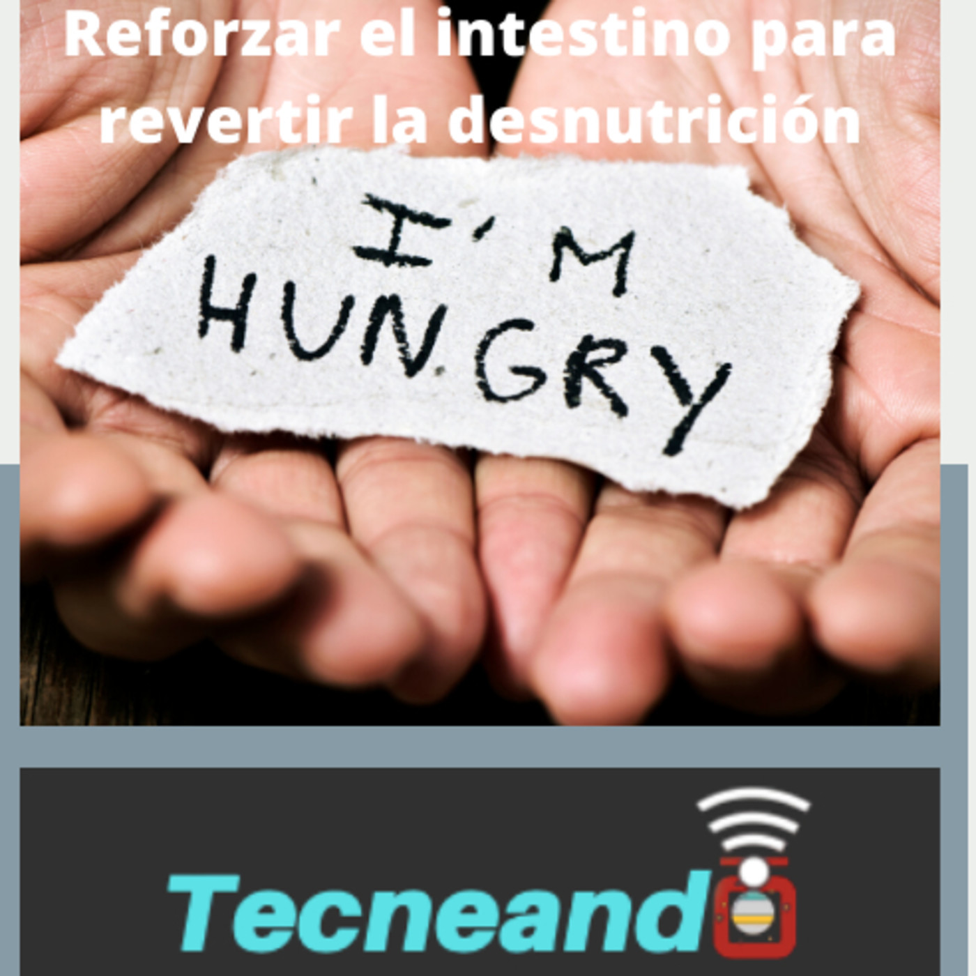 Tecneando