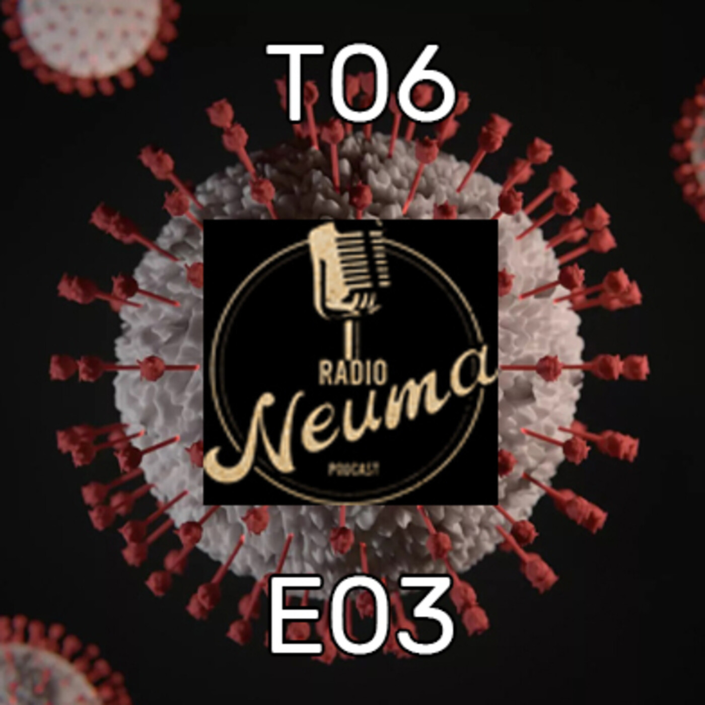 Radio Neuma